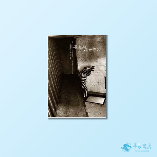 天橋上的魔術師